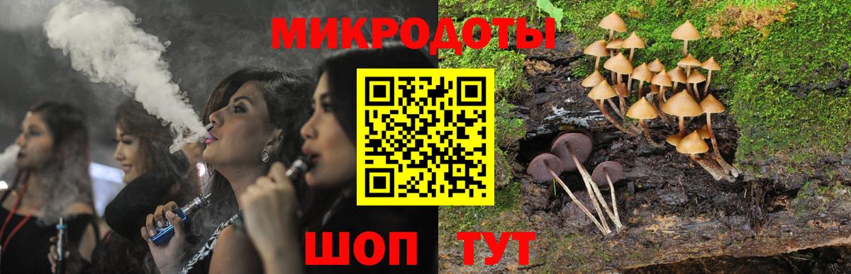 Псилоцибиновые грибы мицелий Магнитогорск